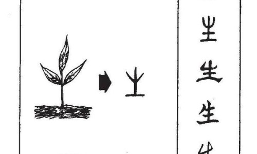 抹茶皂的作用及功效禁忌-抹茶皂的作用及功效-专业抹茶皂可以天天用吗平台-抹茶皂可以天天用吗